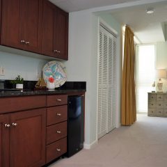 2nd Master Suite Kitchenettte
