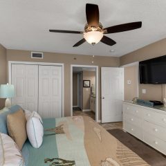 Large Flat Screen TV