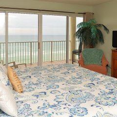 Gorgeous Coastal View with Balcony Access